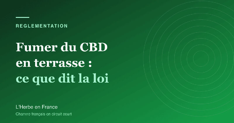 Peut-on fumer du CBD en terrasse ? Ce que dit vraiment la loi en 2026