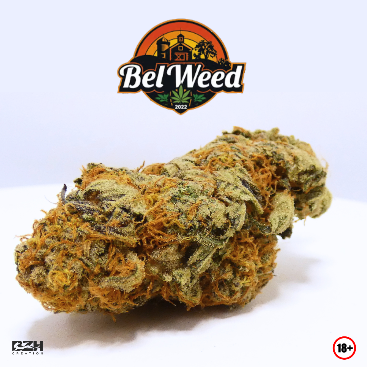 Bel'Weed - Photo 4