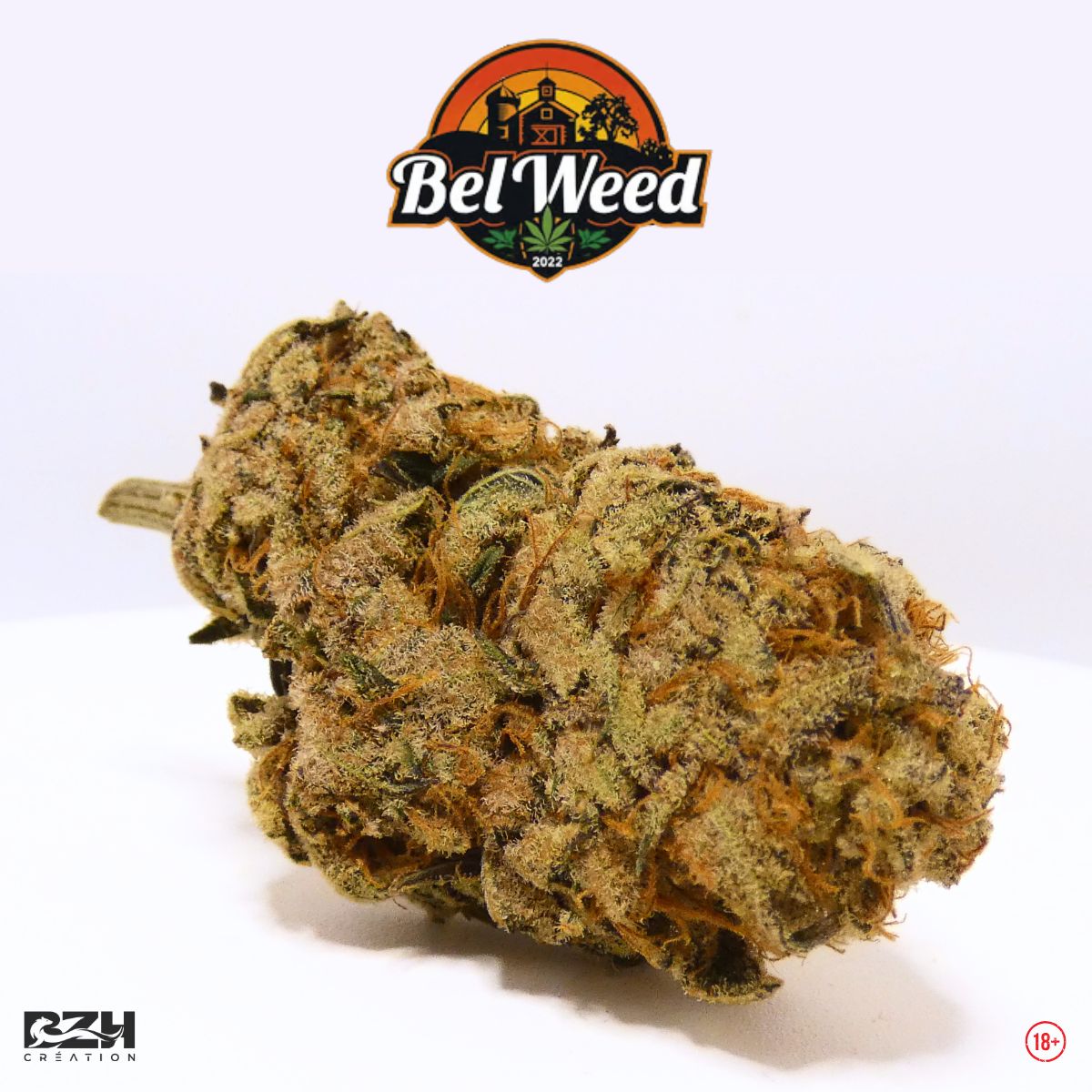 Bel'Weed - Photo 6