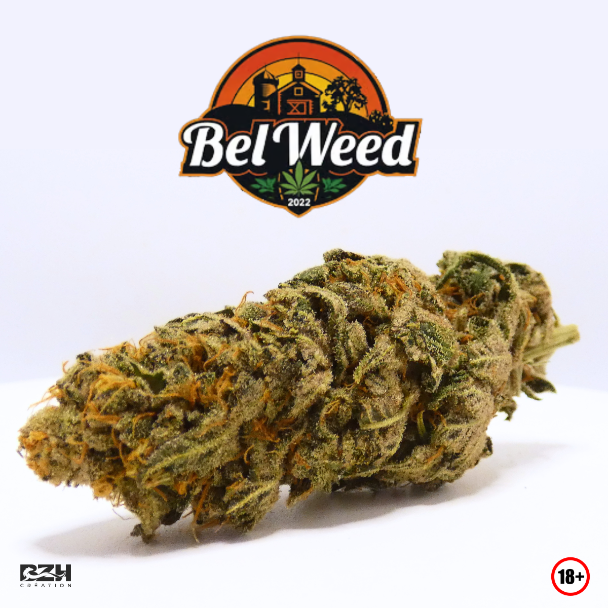 Bel'Weed - Photo 9