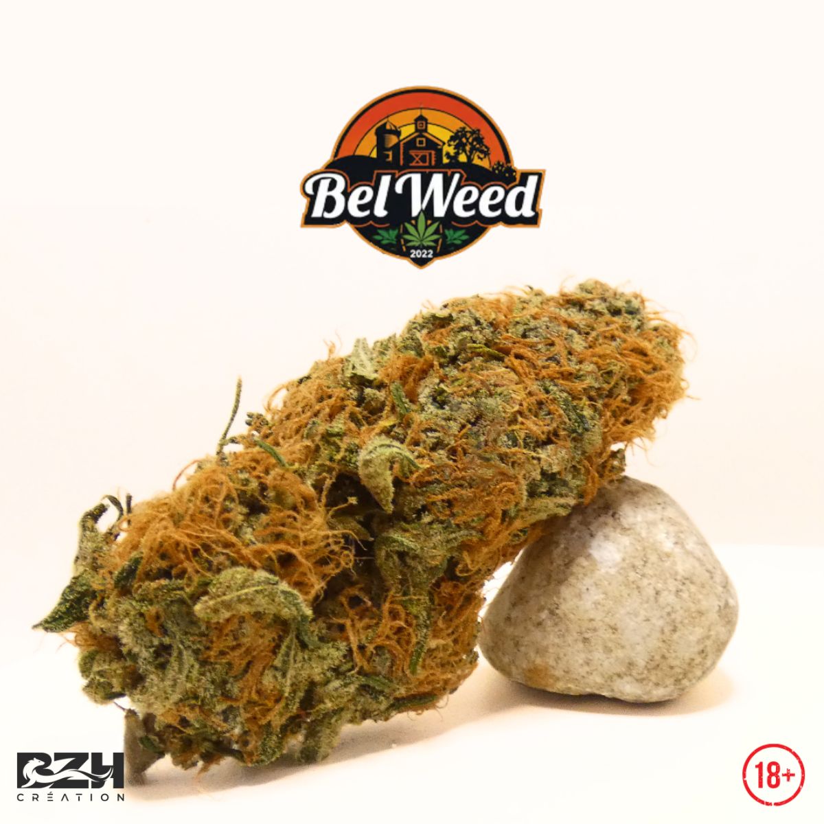 Bel'Weed - Photo 10