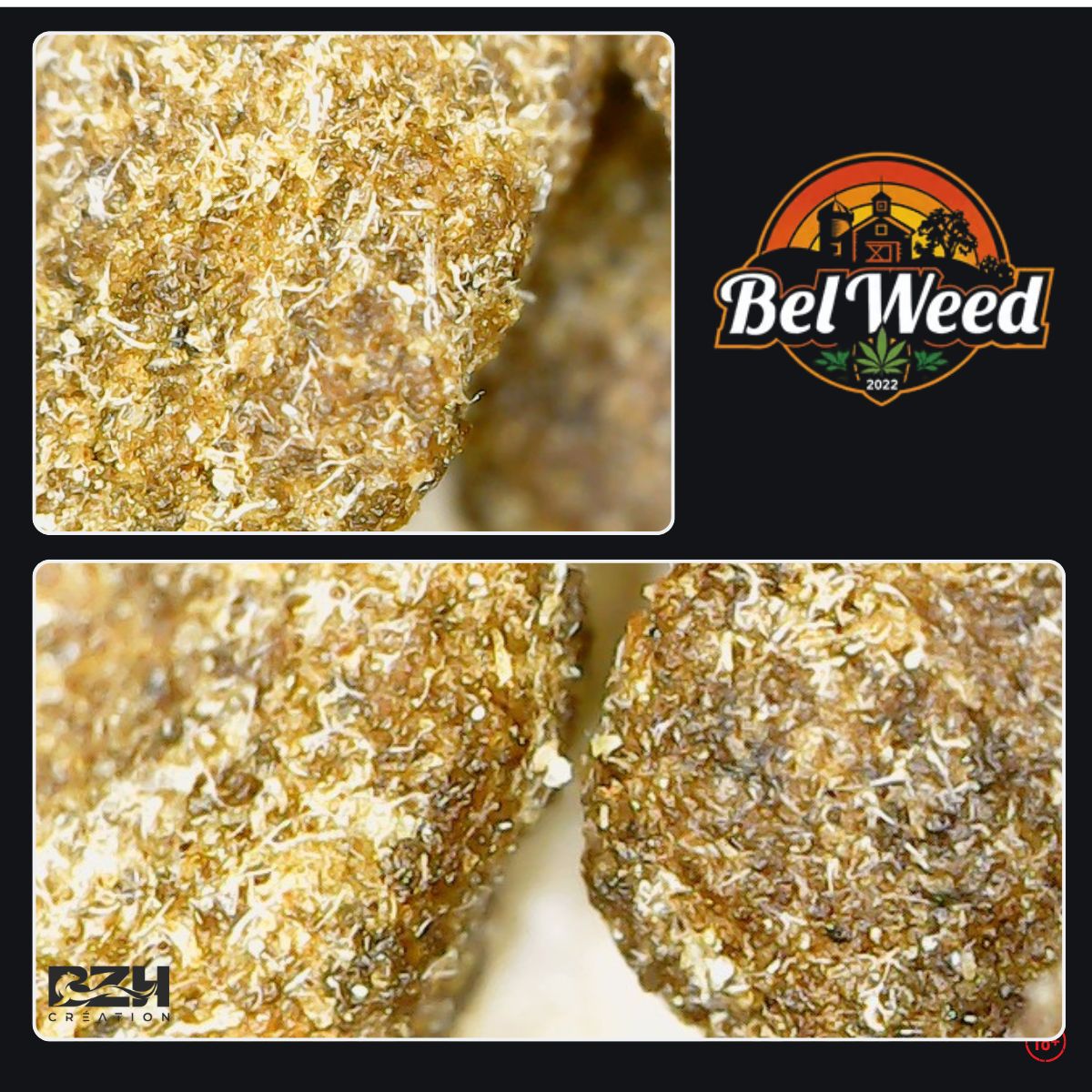 Bel'Weed - Photo 12