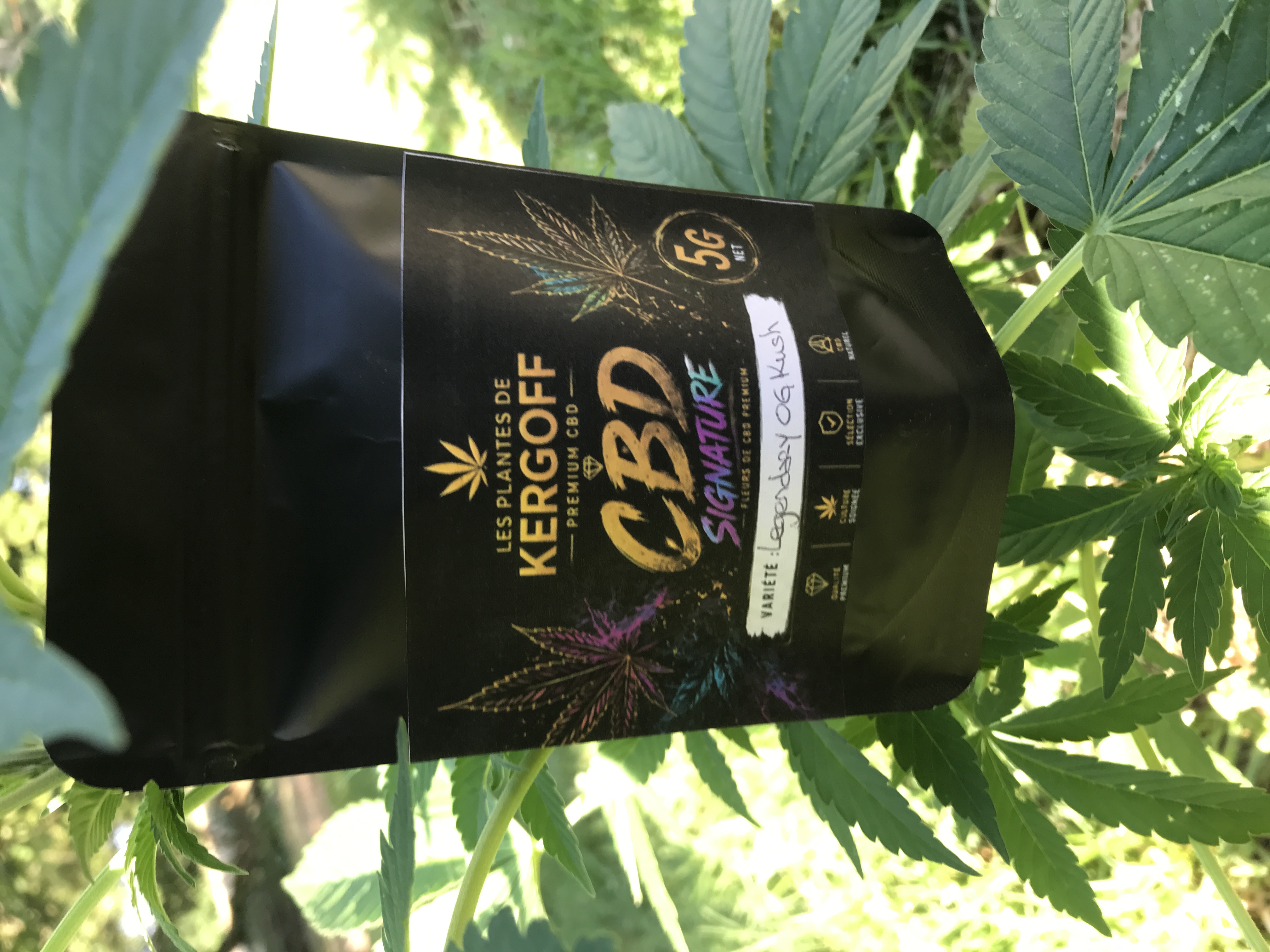 Les plantes de Kergoff et La ferme d’un Nectar - Photo 4